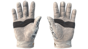 Snow Leopard image
