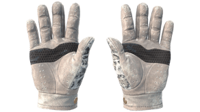Snow Leopard image