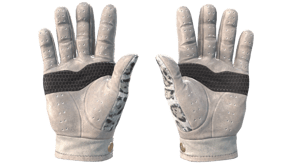 Snow Leopard image