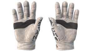 Snow Leopard image