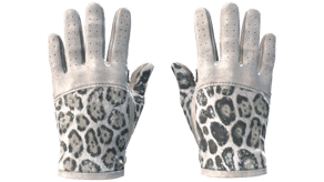 Snow Leopard image