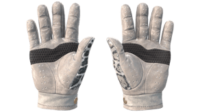 Snow Leopard image