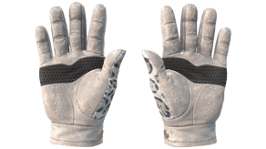 Snow Leopard image