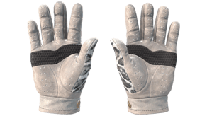 Snow Leopard image
