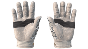 Snow Leopard image