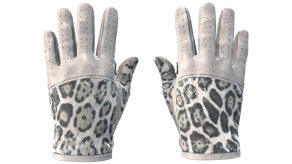 Snow Leopard image