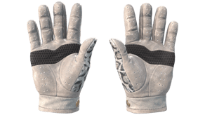 Snow Leopard image