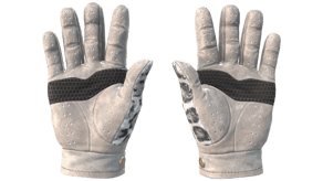 Snow Leopard image
