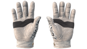 Snow Leopard image