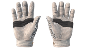 Snow Leopard image
