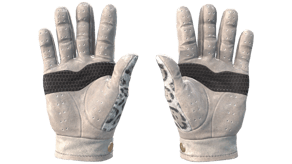 Snow Leopard image