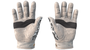 Snow Leopard image
