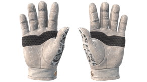 Snow Leopard image
