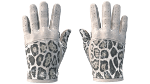 Snow Leopard image