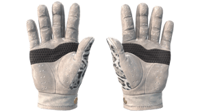 Snow Leopard image