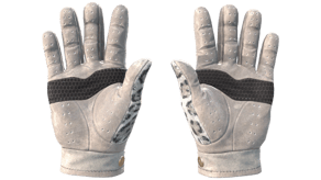 Snow Leopard image