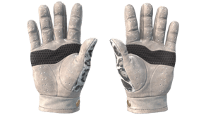 Snow Leopard image
