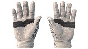Snow Leopard image