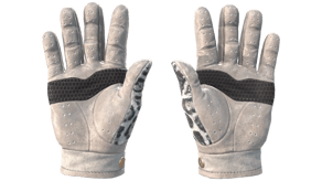 Snow Leopard image