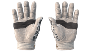 Snow Leopard image