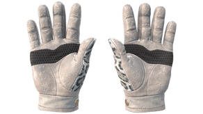 Snow Leopard image