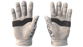 Snow Leopard image