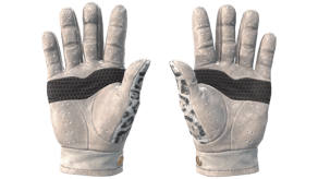 Snow Leopard image