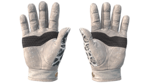 Snow Leopard image