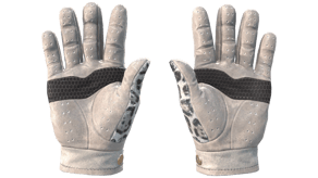 Snow Leopard image