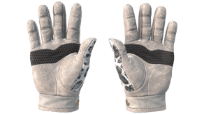 Snow Leopard image