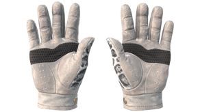 Snow Leopard image