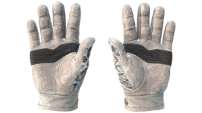 Snow Leopard image