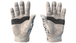 Snow Leopard image