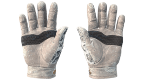 Snow Leopard image