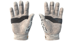 Snow Leopard image