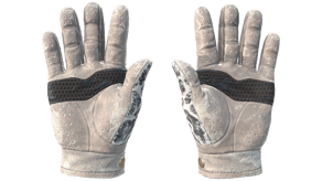 Snow Leopard image