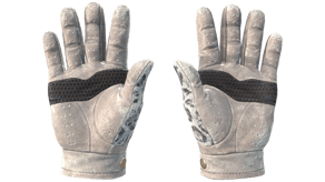 Snow Leopard image