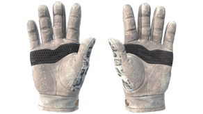 Snow Leopard image