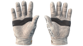 Snow Leopard image