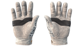 Snow Leopard image