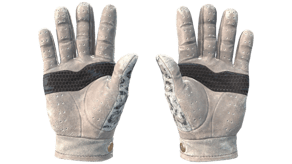 Snow Leopard image