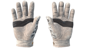 Snow Leopard image