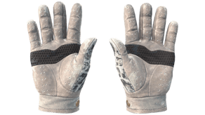 Snow Leopard image