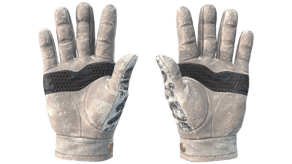 Snow Leopard image