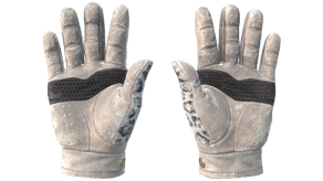 Snow Leopard image