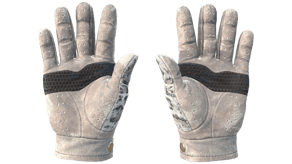 Snow Leopard image