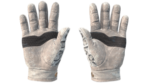 Snow Leopard image