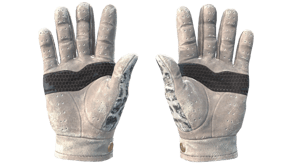 Snow Leopard image