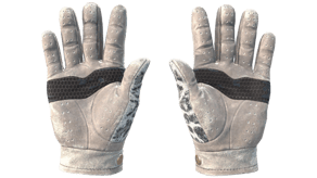 Snow Leopard image
