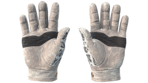 Snow Leopard image